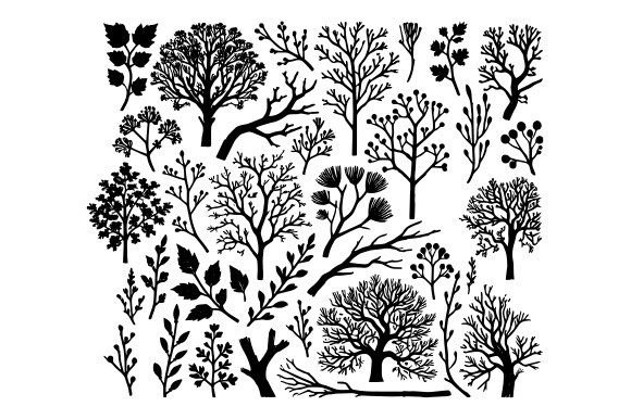 Download Extensive Tree Branches and Leaves - Extensive Collection
