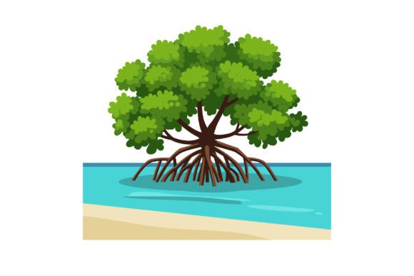 Download Mangrove Tree with Extensive Roots Growi - Extensive Collection